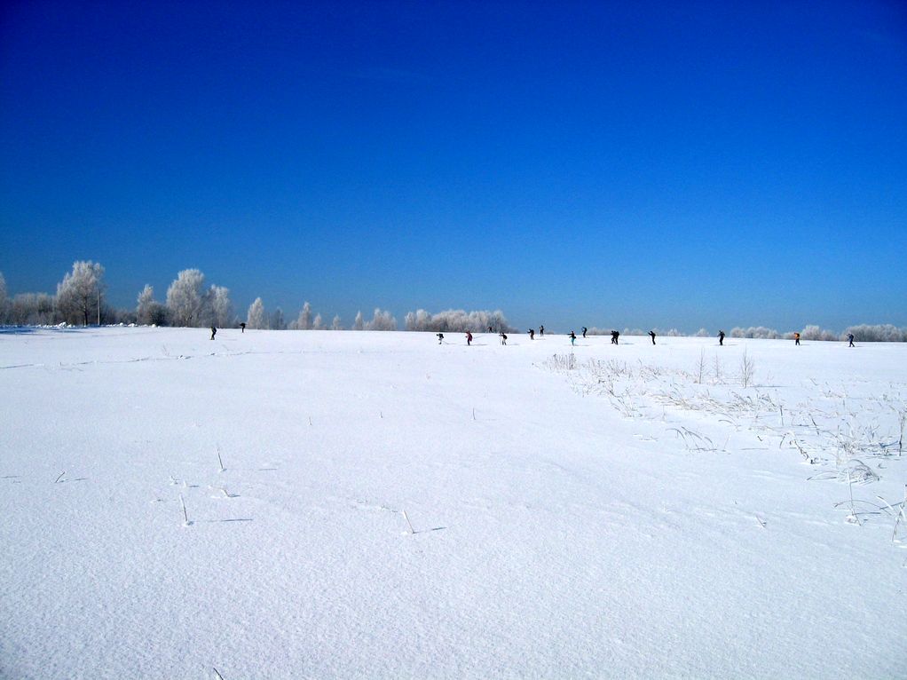 2008-03-22_09-17