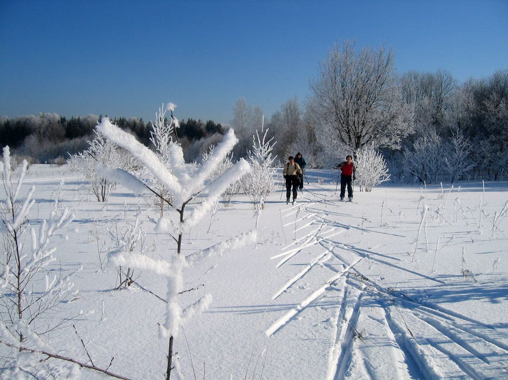2008-03-22_09-29