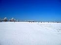 2008-03-22_09-17