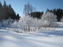 img_3670
