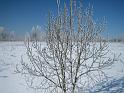img_3689