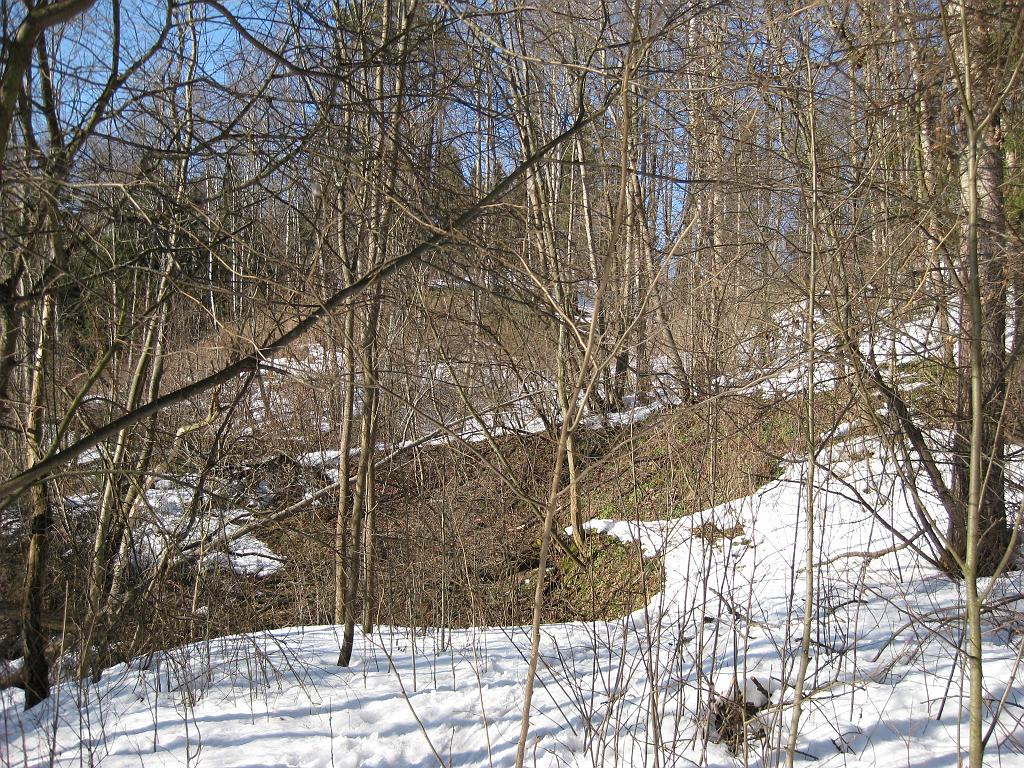 img_4203