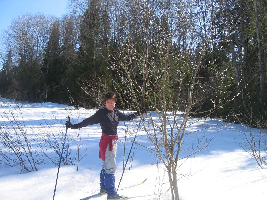 2008-03-29_12-03